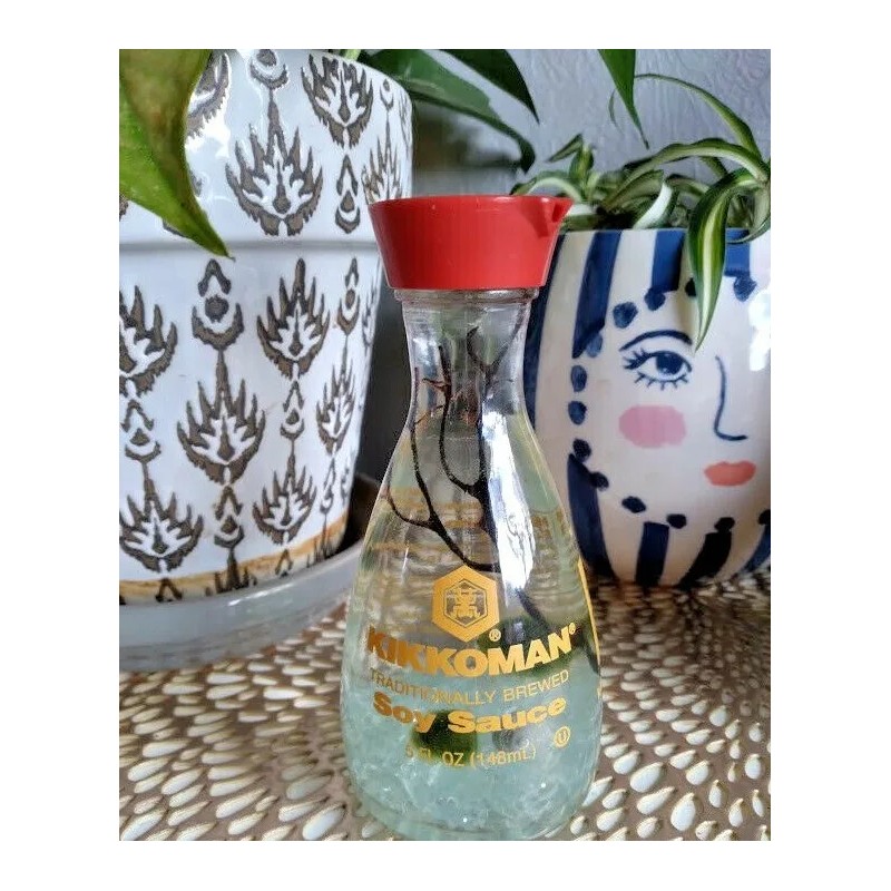 Marimo Moss Ball Soy Sauce Terrarium