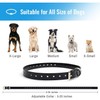 Petrainer Shock Collar for Dogs - Waterproof Rechargeable Dog Training