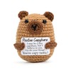 Vinuwu Positive Crochet Animals Capybara Gifts,Emotional Support Gift with Positive Affirmation Cards,Funny Inspirational for Women (A)