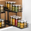 RCHYFEED Spice Organization for Cabinet, 2 Tier Pull Out Spice