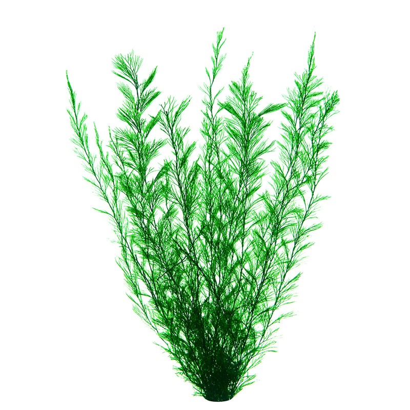 Gex GEX Goldfish Energetic Goldfish Aquacape, Natural Snack Grass