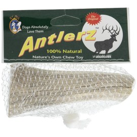 Antlerz QT Dog Deer Antler Dog Chew Large