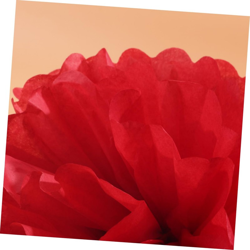 EXCEART 12pcs Tissue Paper Flower Pom Pom Hanging Decorative Honeycomb