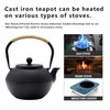 YJX 40.6 fl oz Cast Iron Teapot Set, Japanese Tetsubin
