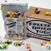 "Freeze Dried" CANDY RAINBOW - resealable bag crunchy bites -