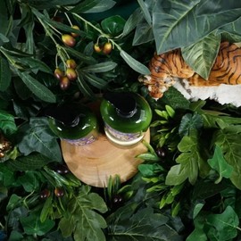 Moisturizing oil supply olive oil moist body lotion 380ml x 2 / 수분유분공급 올리브오일 촉촉한 바디로션 380ml 2개