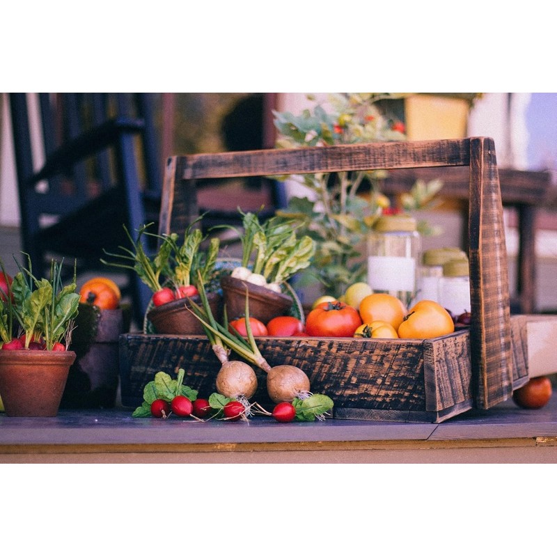 Assorted Heirloom Non-GMO Vegetable Seeds, Bountiful Garden Set (100)