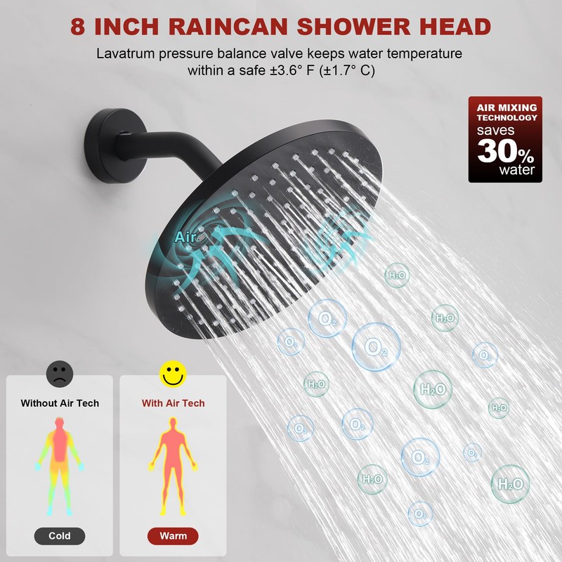 Lavatrum Mate Black Shower Head and Handle Set Single Spray