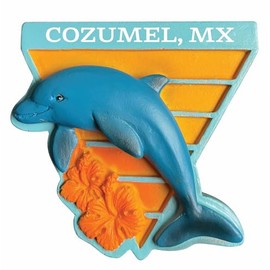 Cozumel Mexico Beach Souvenir Hand Painted Resin Dolphin Refrigerator Magnet Single