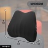 Samsonite Lumbar Support Pillow for Office Chair and Car Seat