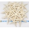 Starfish | (20) White Finger StarFish 4"-5" | Nautical Crush