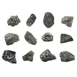 EISCO 12PK Raw Diorite, Igneous Rock Specimens - Approx. 1" - Geologist Selected & Hand Processed - Great for Science Classrooms - Class Pack