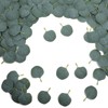 CIATBYYJ 300Pcs Eucalyptus Stems Artificial Eucalyptus Leaves Faux Eucalyptus Stems