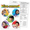 TREND Five Senses Learning Chart, Classroom Decor, 17" x 22"