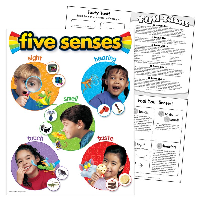 TREND Five Senses Learning Chart, Classroom Decor, 17" x 22"