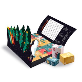 Advent Calendar 2024 for Kids - 24 Days of DIY Craft Kits, Arts and Crafts Set for Kids Ages 6-12 - Fun Advent Calendar for Girls and Boys