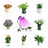 USB Remote Control Timing Plant Light Waterproof Full Spectrum Succulent