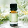 ECO. Modern Essentials Vetiver Pure Essential Oil, 10ml