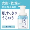 Biore The Face Facial Wash Foam 200 ml - Moist