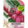 Seed Needs Beet Seeds for Planting Chioggia Beetroot - Non-GMO