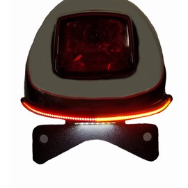 Bikelitez fits the 2002-2005 Harley V-Rod Fender eliminator SMOKED
