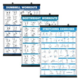 Palace Learning QuickFit 3 Pack - Dumbbell Workouts + Bodyweight Exercises + Stretching Routine Poster Set - Set of 3 Workout Charts (Laminated WITH PLASTIC FRAME, 18" x 24")