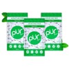 PUR Gum Aspartame Free Chewing Gum Spearmint 100% Xylitol 55
