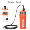 ECO-WORTHY 12V DC Submersible Well Water Pump with 10ft Cable,