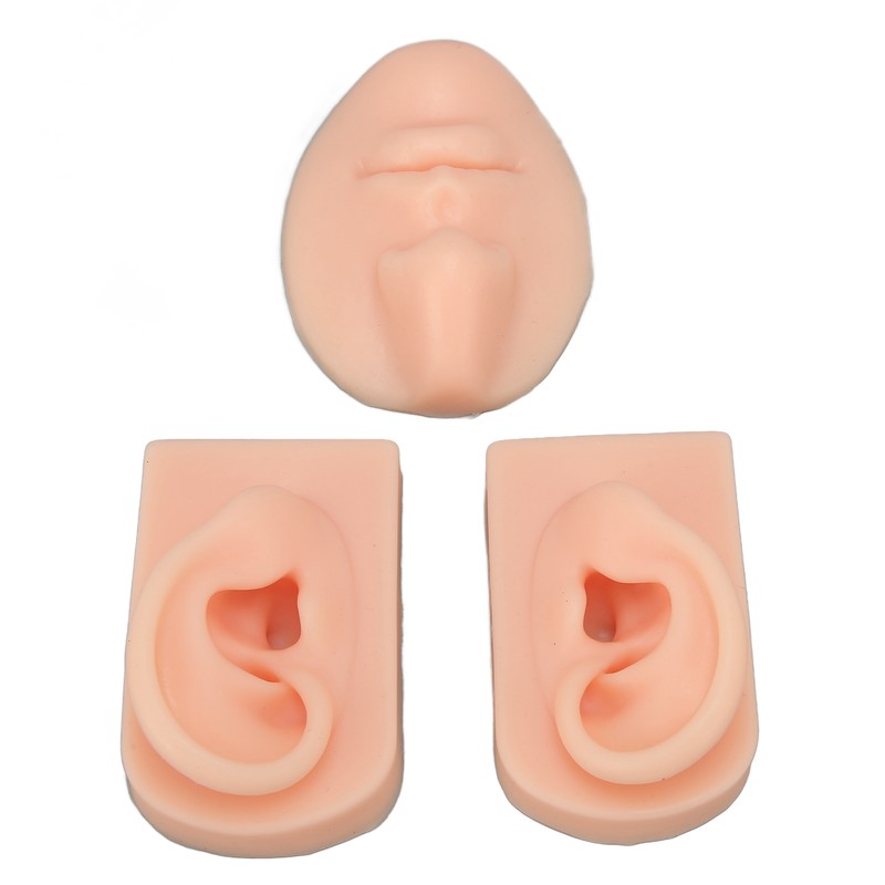 3D Nose and Mouth Model Silicone Ear Model Simulation Display