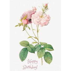 PIXILUV HAPPY BIRTHDAY Greeting card ~ Soft Pink Roses and Green Leaves ~ Birthday Wishes Vintage Large Greeting Card