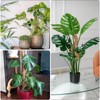 1pcs Bendable Moss Pole for Plants Monstera120mm, Handmade Coco Coir