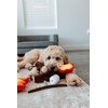 Midlee Campfire Dog Toy