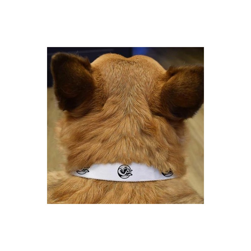 Small 'Happy German Shepherd Dog' Dog Collar (PR00065033)