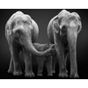 CVPuzzles Elephant Family 504 Piece Jigsaw Puzzle 16 X 20