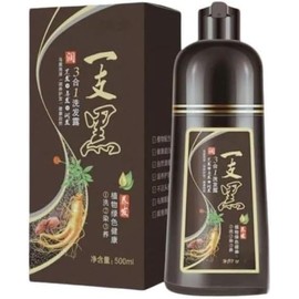 Morado- Shampoo Tinte Instantaneo Para Cabello Cubre Canas Natural Jengibre 500Ml - Champú Instant Hair Color Para Teñir El Cabello 3 En 1 Coloración 