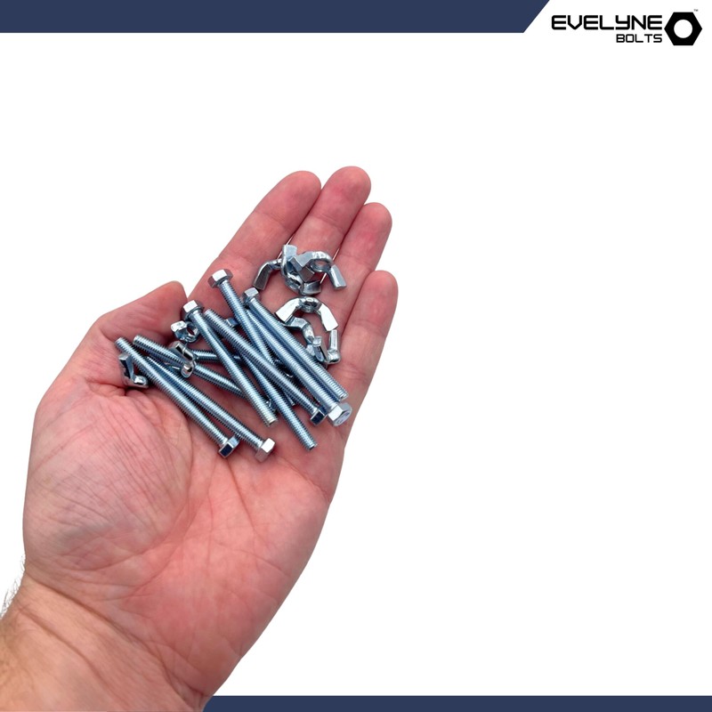 M5 Wing Nut & Bolt 10 Pack (M5 x 50mm