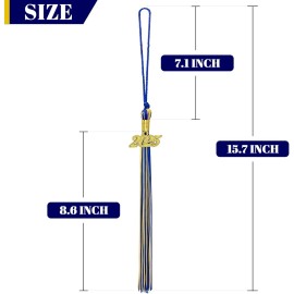 Hidreas 2025 Tassel Academic Graduation Royal Blue and 1 pcs, Gold
