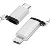 leizhan USB C Adapter (2 Pack, Silver) Type C Male