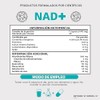 NAD NR Nicotinamida Ribosa potenciado con Resveratrol, Quercetina, Betaina HCL