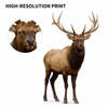 Elk 3FT Life Size Cardboard Cutout – A Fun Animal