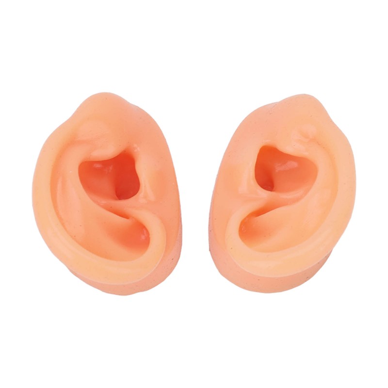 Silicone Ear Model Human Artificial Ear Display for Hearing Aids