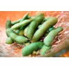 SAFLAX - Organic - Bean - Edamame - 8 Seeds