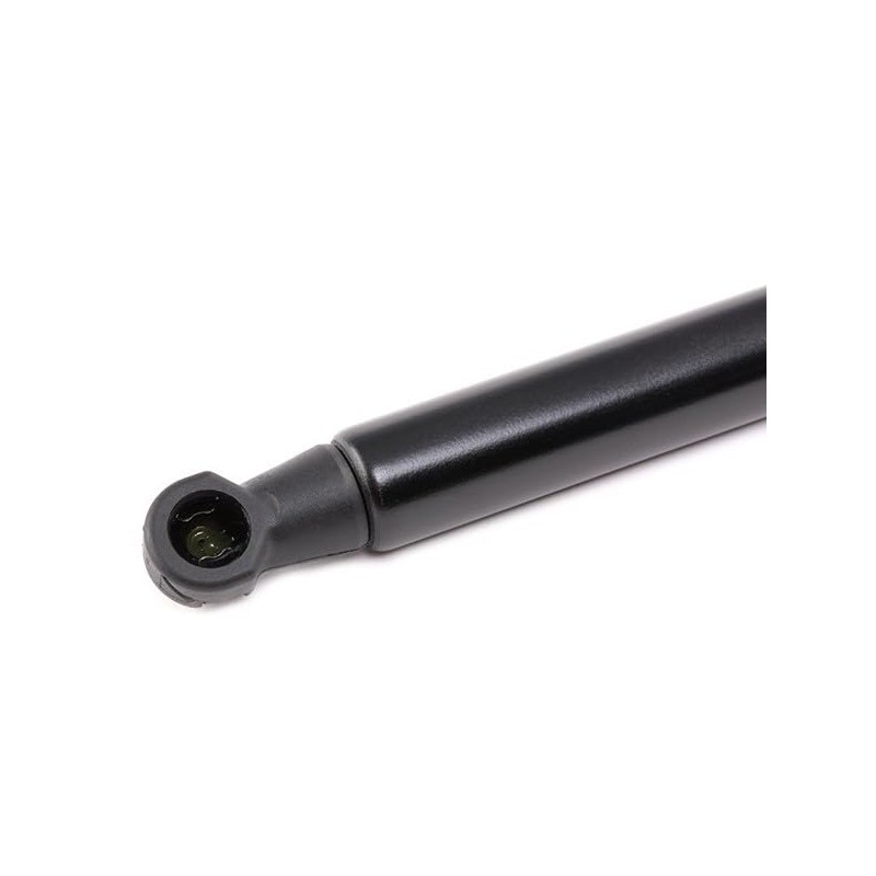 RIDEX Bonnet Damper 514G0093 on Both Sides for IS C