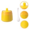 Gatuida Ceramic Condiment Jar Set Salt Shaker Seasoning Containers Bottle