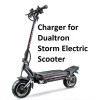 coming data smart FAST battery Charger 84v 5a for Dualtron