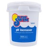 In The Swim pH Increaser for Pools - Granular 100%