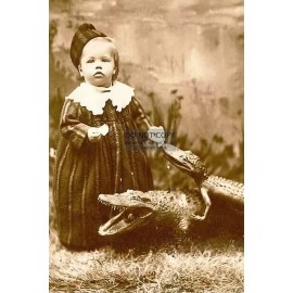 CHILD FEEDING PET TOY ALLIGATOR FREAK CREEPY SCARY 4X6 PHOTO POSTCARD