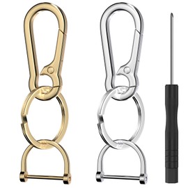 2 Pack Keychain Rings for Car Keys, Metal Key Chain Holder with Detachable D-Ring, Carabiner Keychain Hook, Key Chain Clip for Purse Charm Hook, Men and Women Key Fob (Gold and Silver) Car Accessories