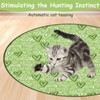 WUSANNA Interactive Cat Toy, Paw Hunting Cat Toy, Interactive Cat