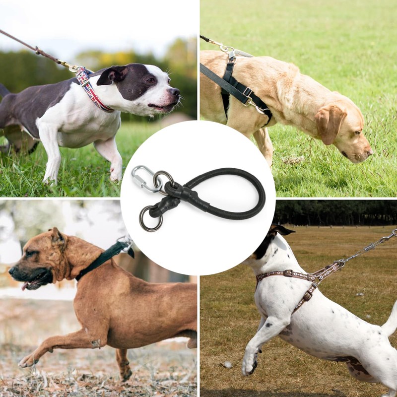 JLEivvi 2 PCS Dog Leash Extension Chew Proof Heavy Duty